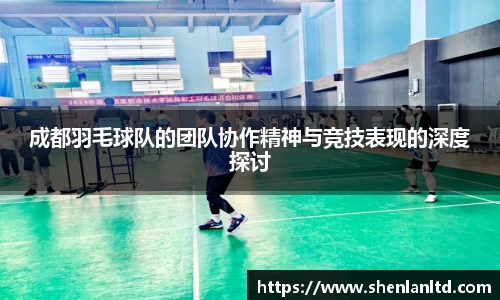 成都羽毛球队的团队协作精神与竞技表现的深度探讨