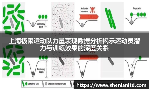 米乐YY易游