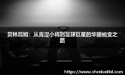yy易游